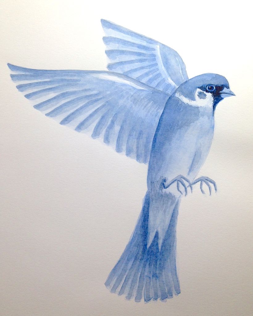 Mein Kursprojekt: Experimentelle Aquarelltechniken für Anfänger 2