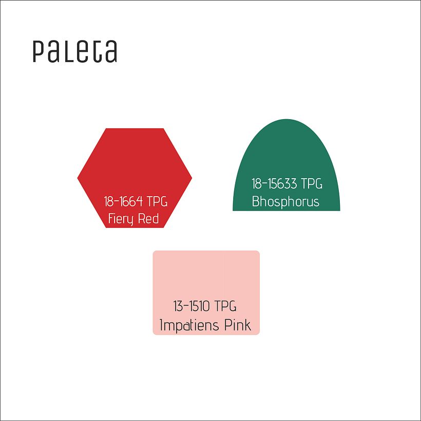 Identidade Visual para marca DONAGIKA 11