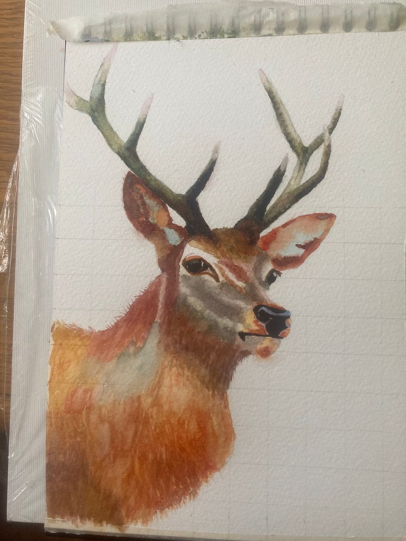 This was the work in progress
