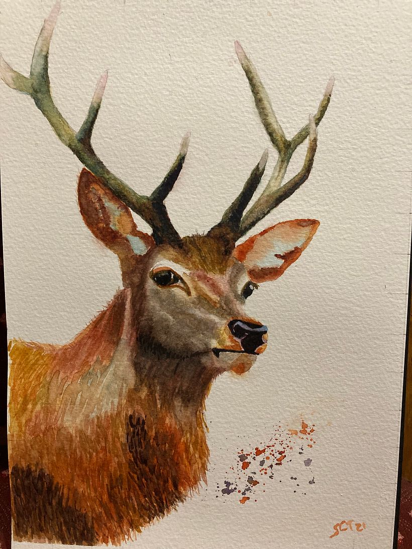 My project in Expressive Animal Portraits in Watercolor course 3