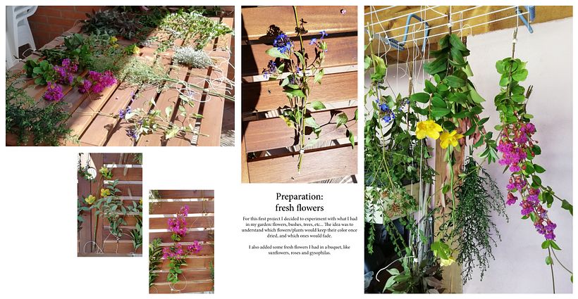 Il mio progetto del corso: Design di centrotavola con fiori essiccati e stabilizzati 4