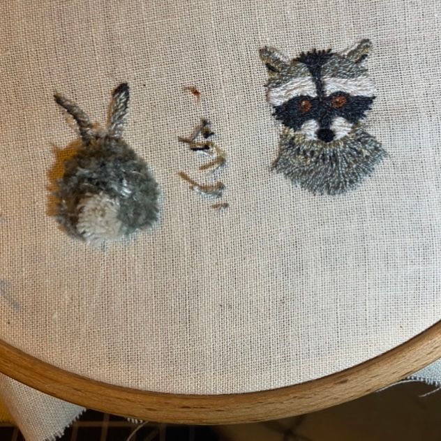 Bunny 🐰 & Raccoon 🦝 