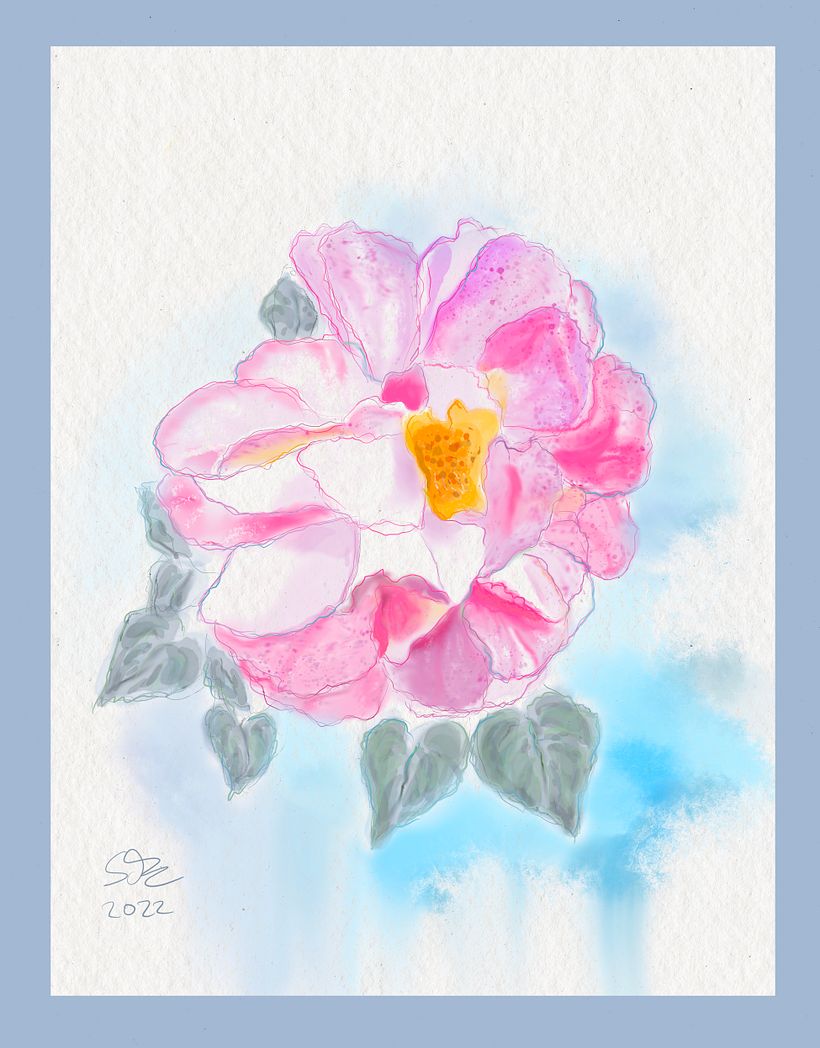 I love  roses. This ohne is the first I created with Procreate.