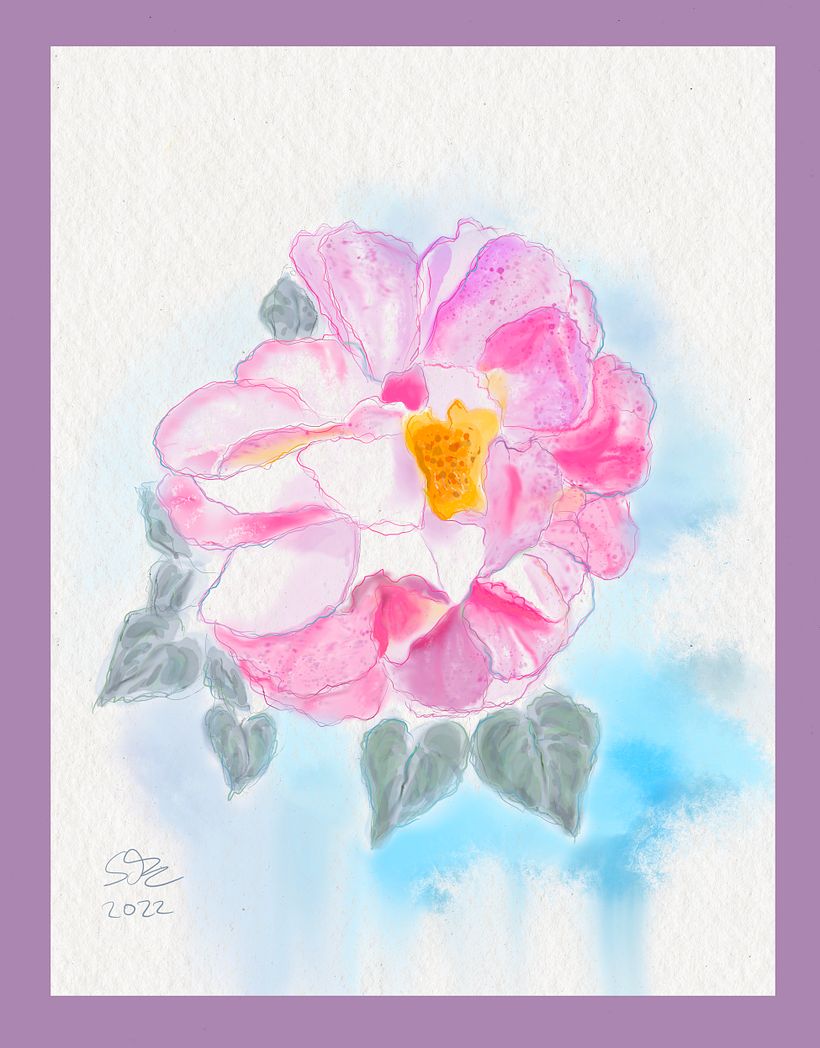 Botanische Illustration: Rose 2