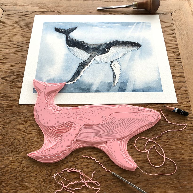 Baleines à bosse 3