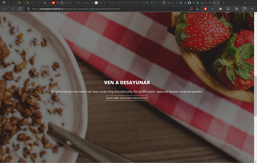 Mi Proyecto del curso: Introducción al Desarrollo Web Responsive con HTML y CSS 10