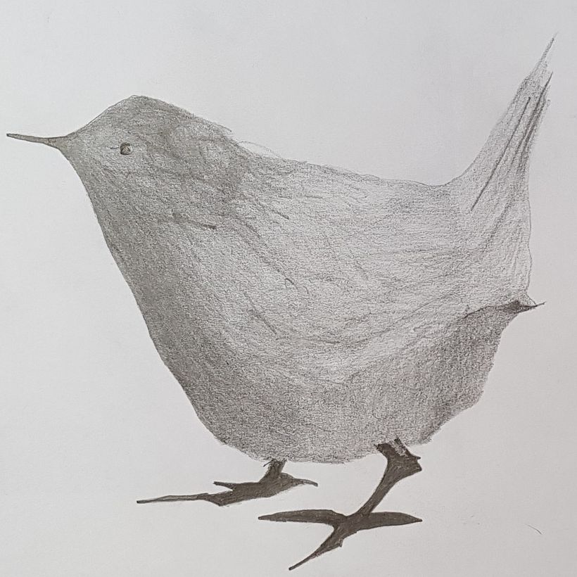 bird_hellesolhoej_dk_2020
