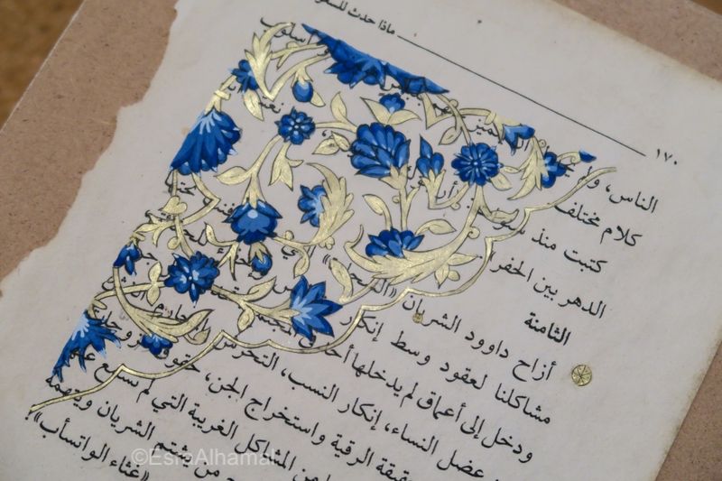Saudi Pages - Pintura