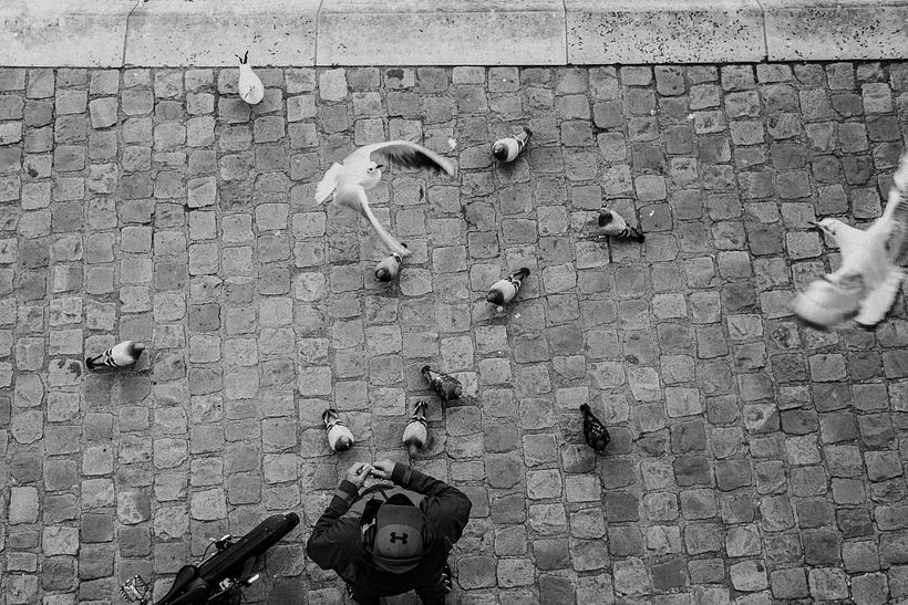 One day in Paris 11