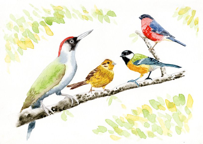 My project in Artistic Watercolor Techniques for Illustrating Birds course 2