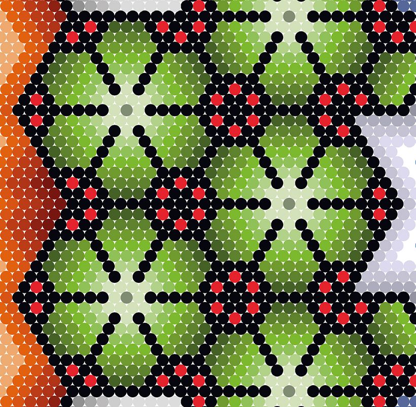 Hexa Huichol 4