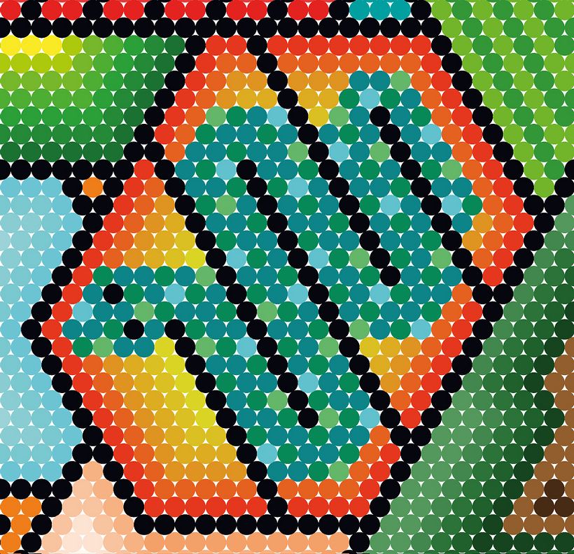 Hexa Huichol 6