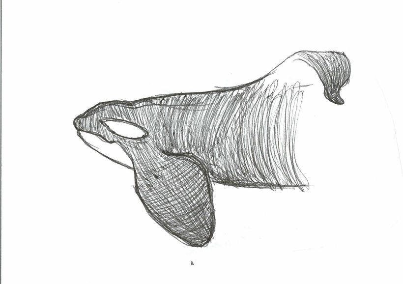 Small Watercolor and pen illustration 6