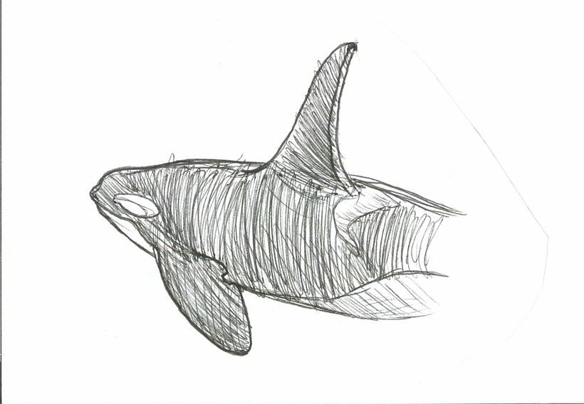 Small Watercolor and pen illustration 7