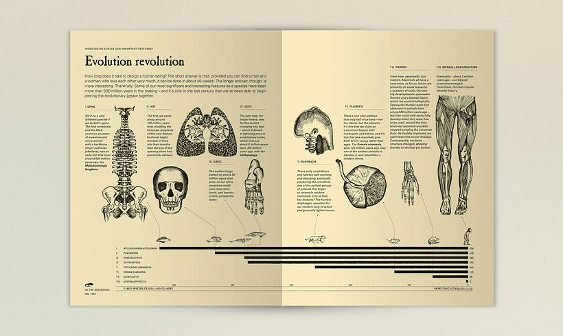 The Infographic History of the World 4