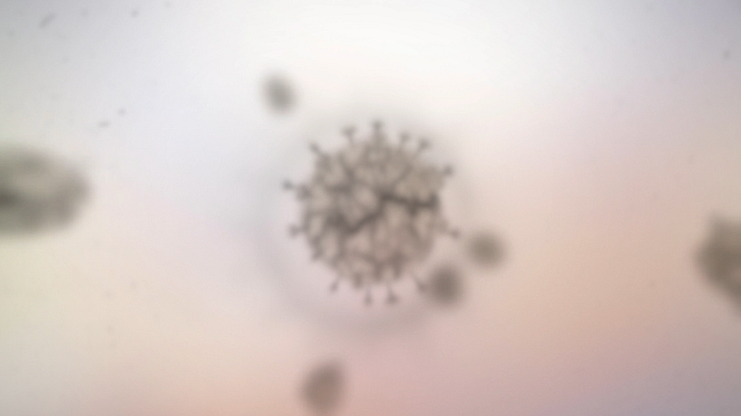 London Under The Microscope 7