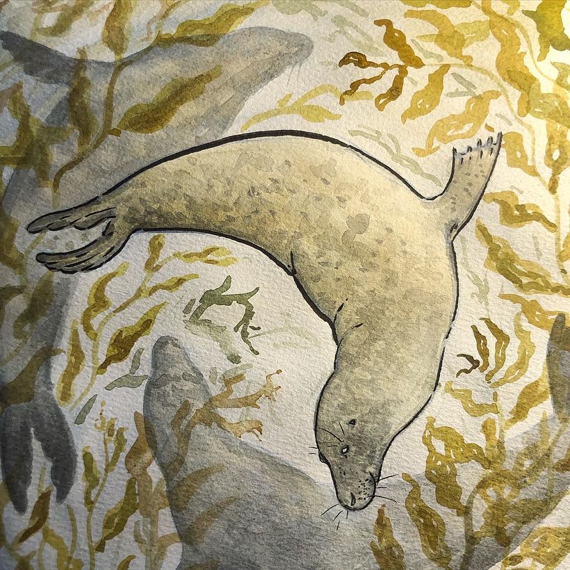 My project in Animal Illustration: Capturing Wildlife in a Sketchbook course 2