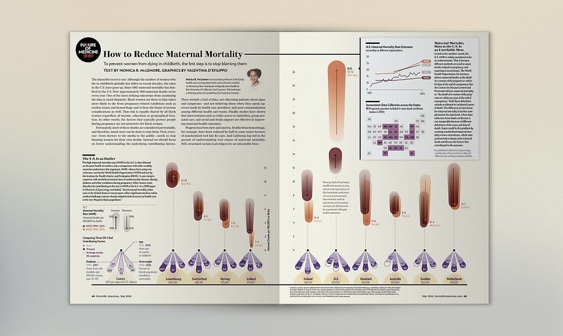 Maternal Mortality 2