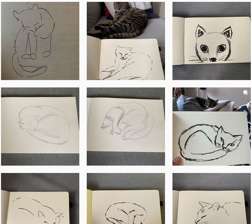Cat studies 2021 2