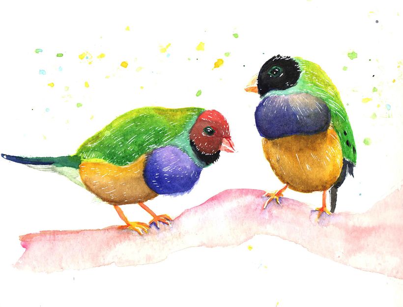 Loriini birds on a branch