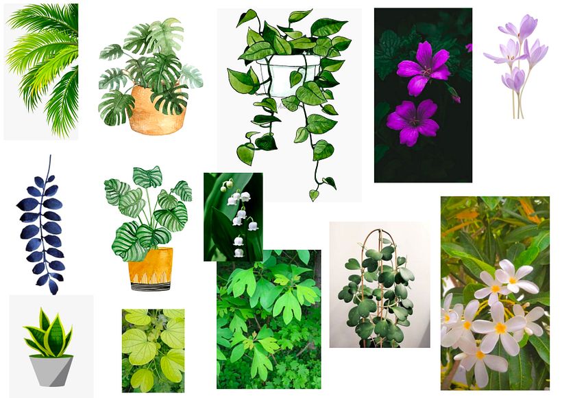 Stage 2 - mood boards - 1 for each aspect I want to represent in the illustration