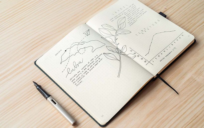 A spread from Annie's journal.