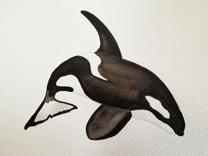 My project in Naturalist Illustration Techniques: Whales in Watercolor course 5