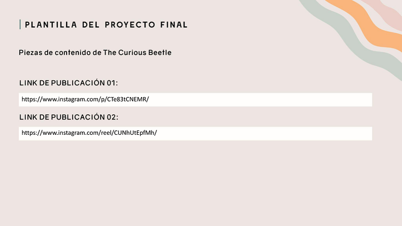 Dos de mis publicaciones en Instagram de distintos formatos