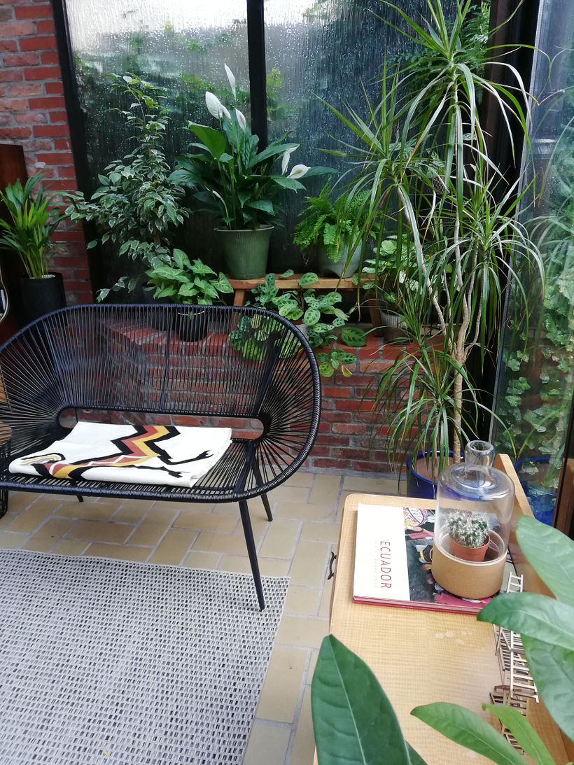 Esta zona no recibe sol directo, pero tiene luz de la ventana. He puesto calatheas, helechos, singonios, lily 