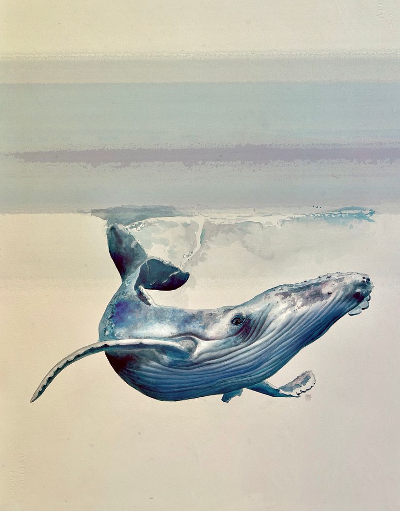 Ballena jorobada