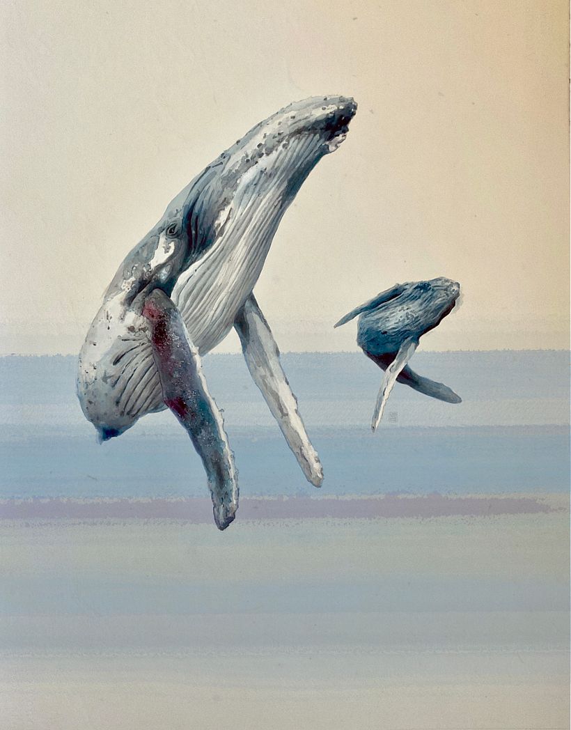 Ballenas jorobadas