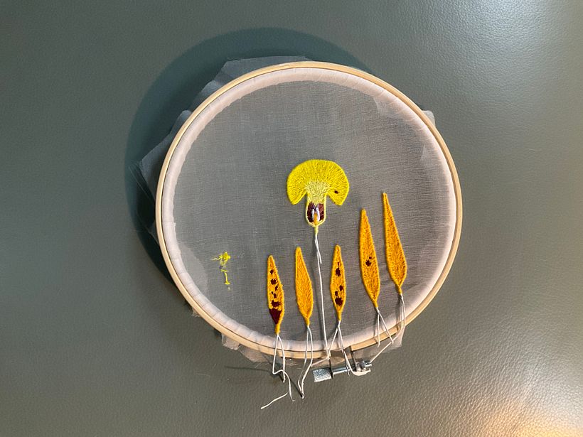 Stitching in progress
