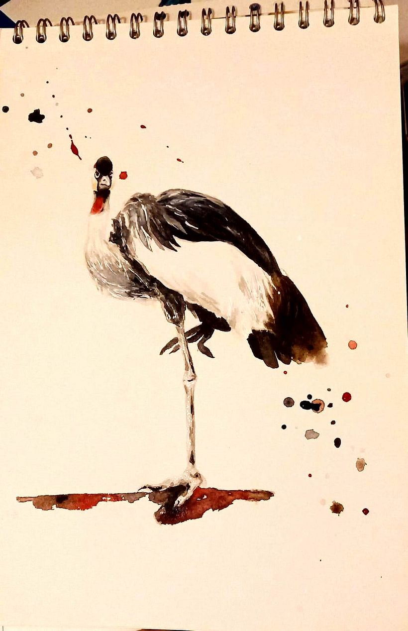 My interpretation of Common Crane.
