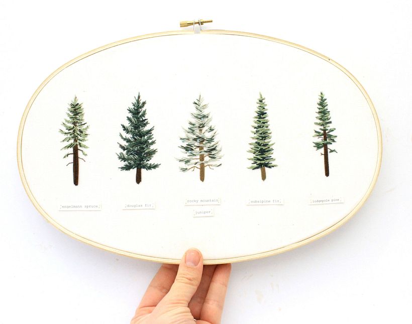 North American Evergreens