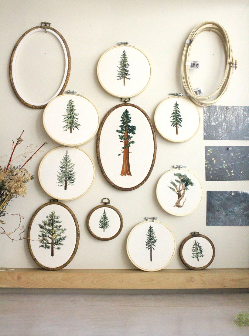 Studio Evergreens