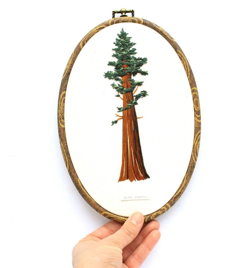 Giant Sequoia