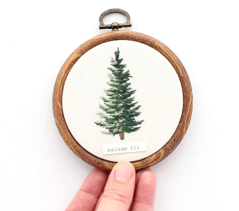 Balsam Fir