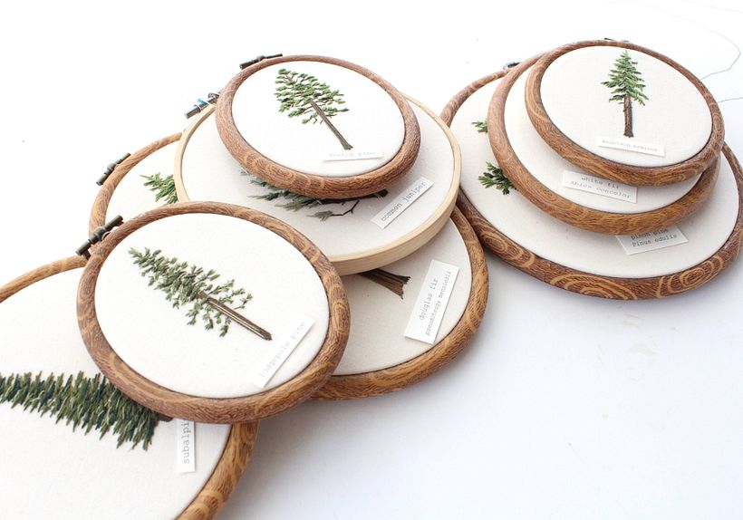 Evergreen Hoops