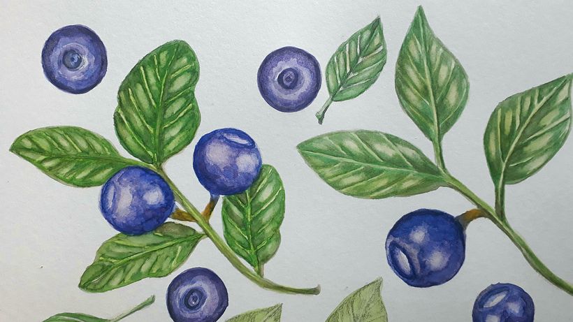 My project in Botanical Illustration with Watercolors course 8