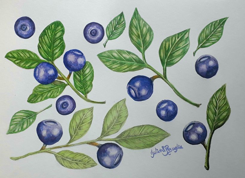My project in Botanical Illustration with Watercolors course 9