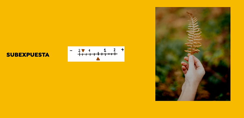 An underexposed image with fewer clear details.