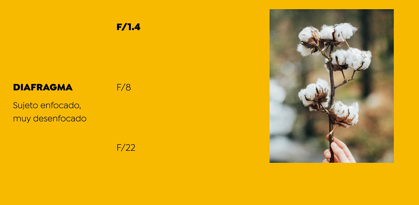 An example of an image generated by a wide aperture.