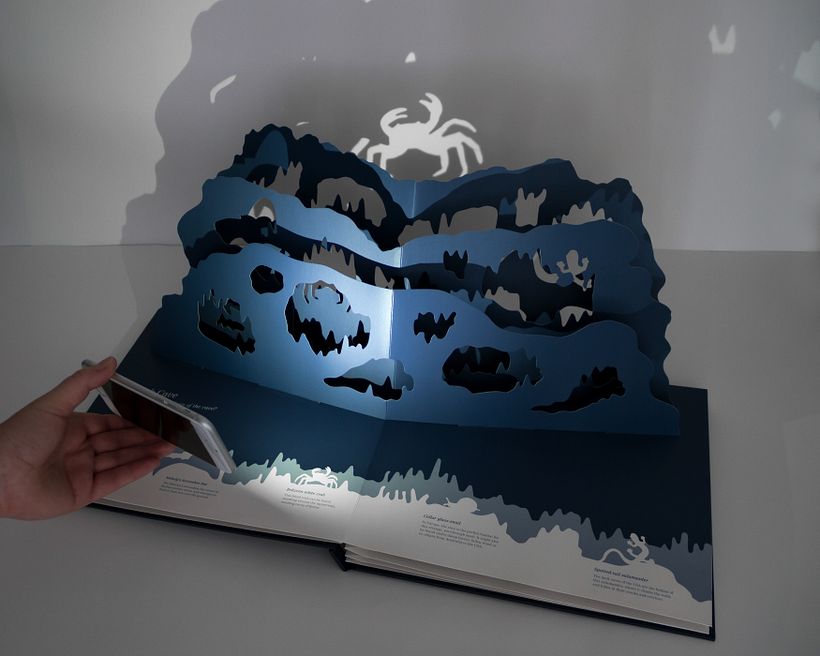 Midnight Creatures: A pop-up shadow search 3
