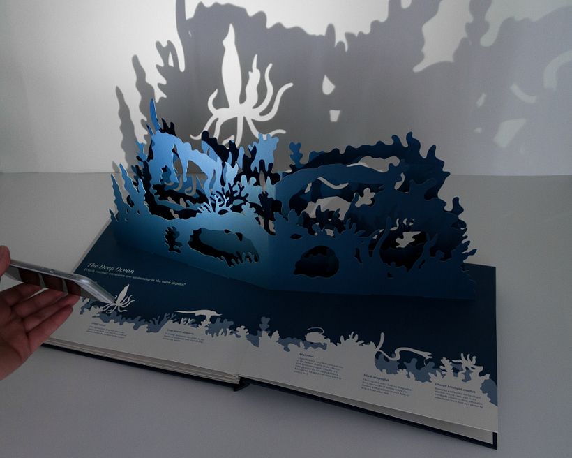 Midnight Creatures: A pop-up shadow search 5