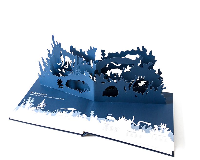 Midnight Creatures: A pop-up shadow search 4
