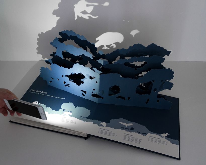 Midnight Creatures: A pop-up shadow search 7
