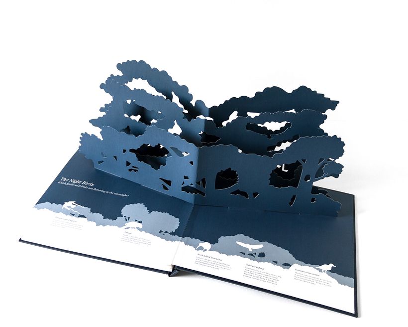Midnight Creatures: A pop-up shadow search 6