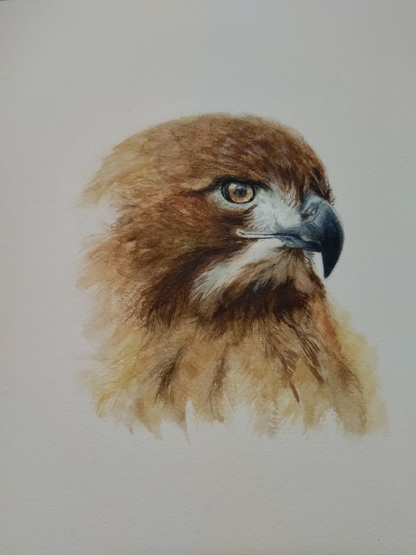 Il mio progetto del corso: Acquerelli naturalistici espressivi e con personalità 2