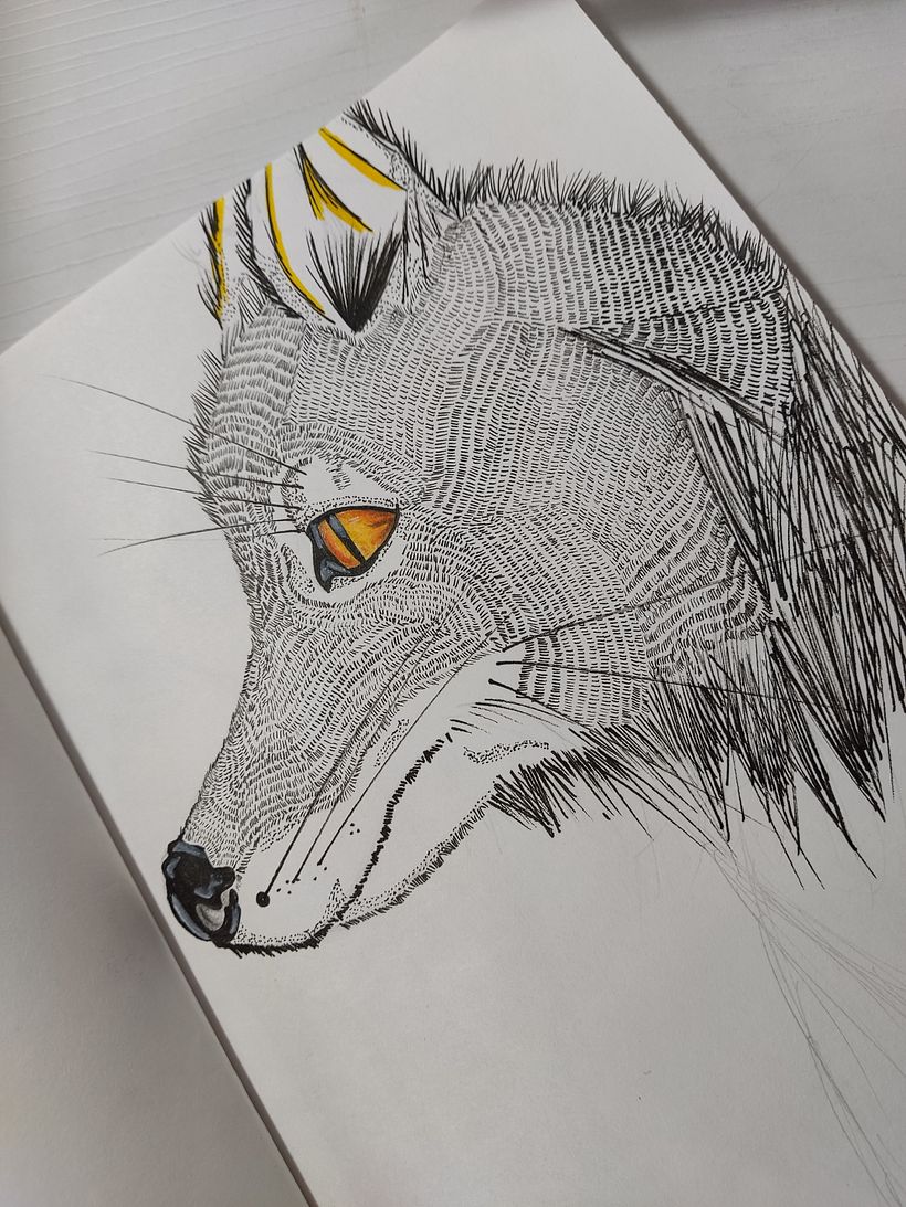 Un Zorro /  it´s a Fox