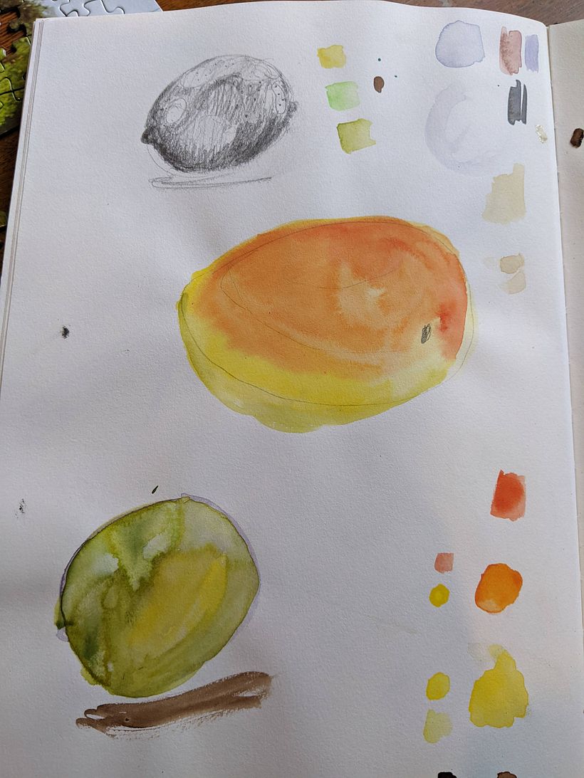 My project in Botanical Watercolor Sketchbook course 9